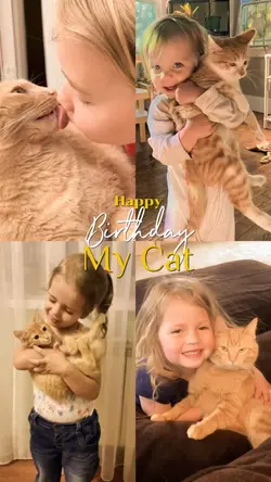 Birthday My Cat