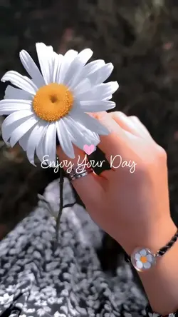 Enjoy your day