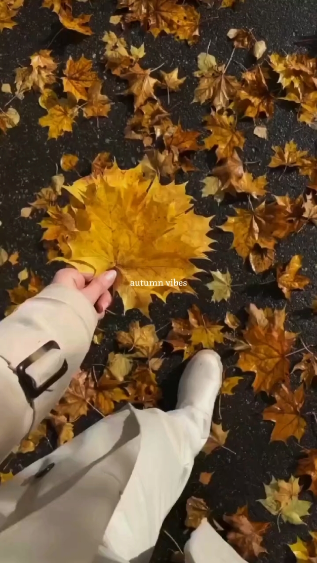 autumn vibes