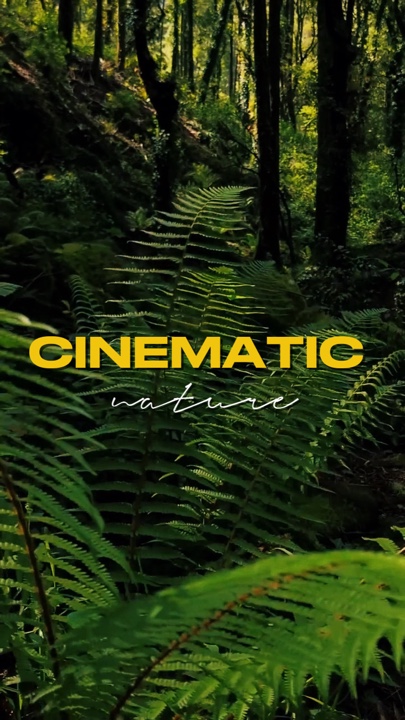 cinematic