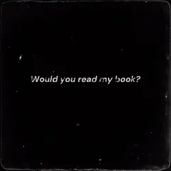 my book’s aesthetic 