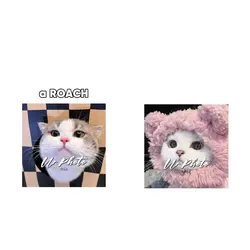 ugh I have no friend