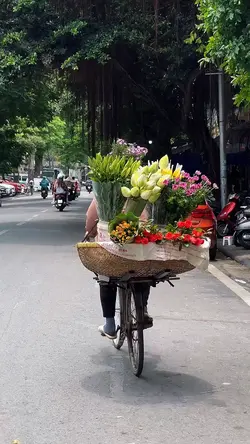 kau yang merajai