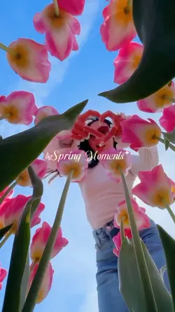 spring moments
