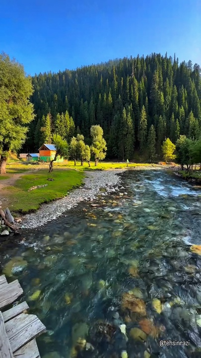 Yeni şablon 