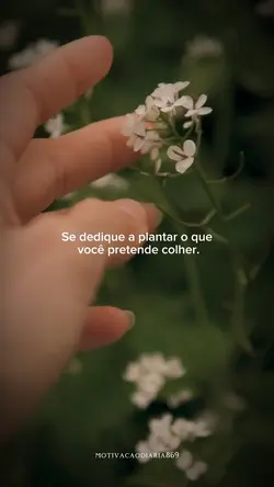 Mensagem do dia