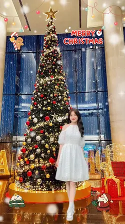 Ghép ảnh cây thông 