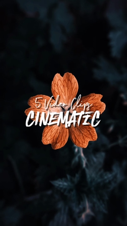5 videoclipes
