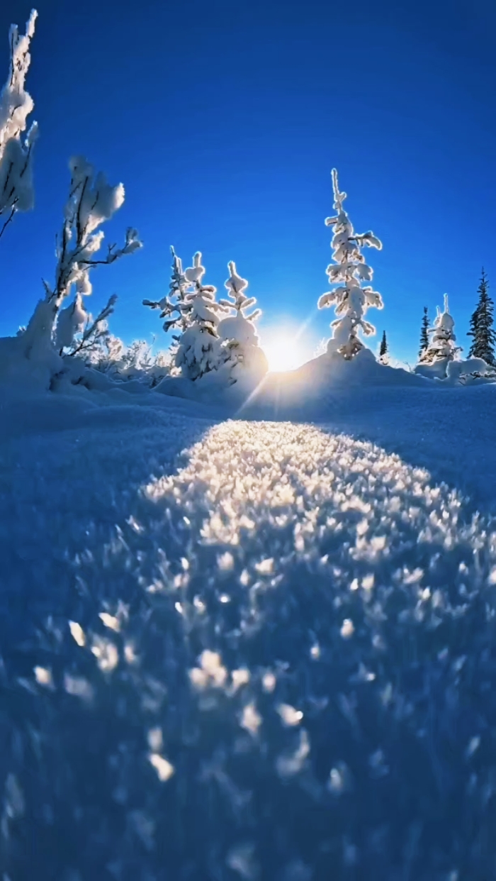 Winter Vibes