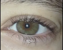 yeux marrons-vert