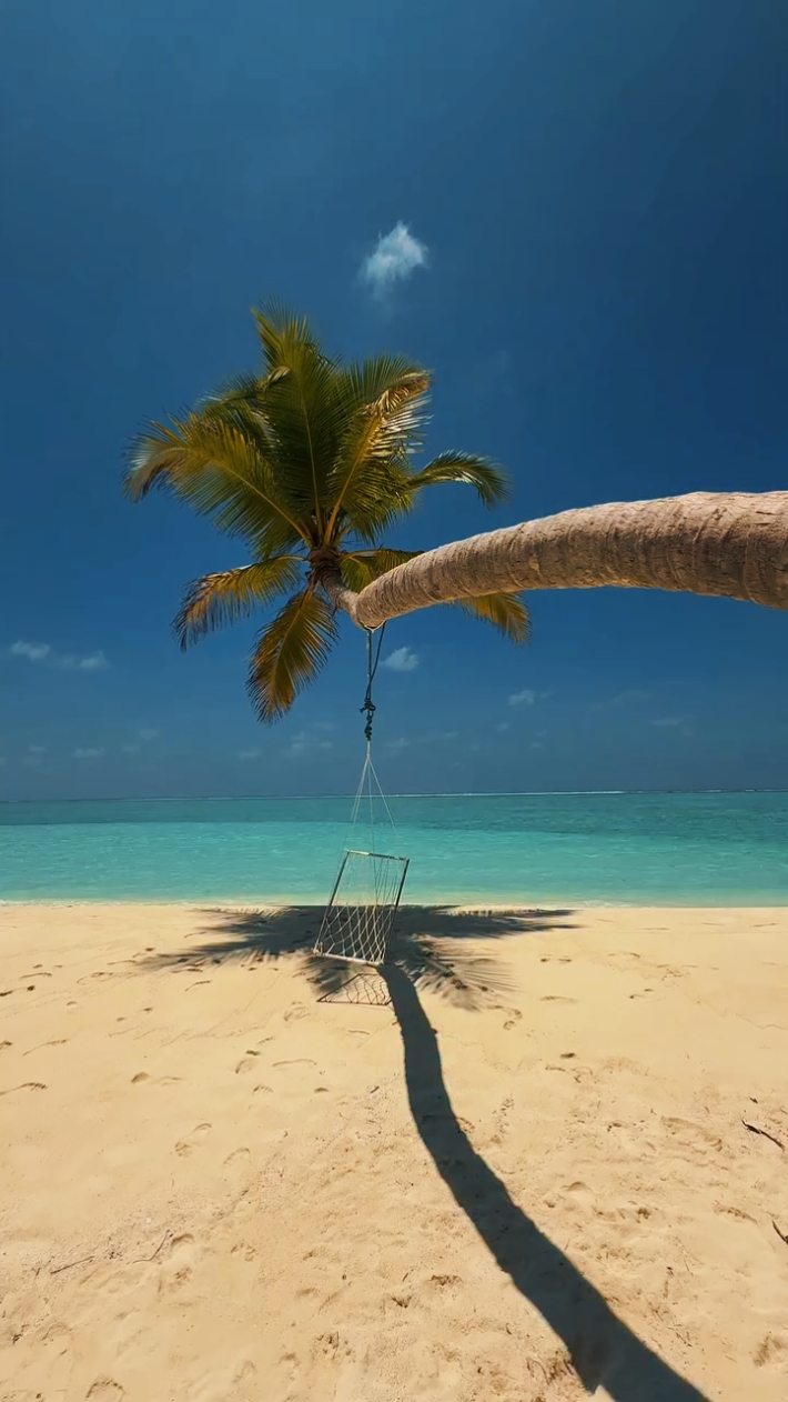 summer 2026