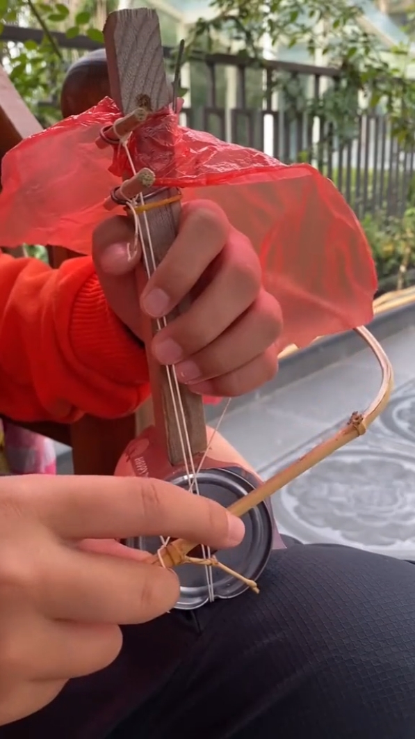 violin 