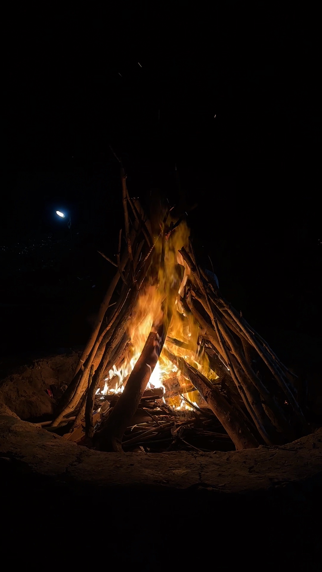 Summer nights
