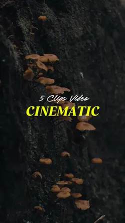5 Clips Cinematic