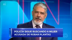 Jornalfalso