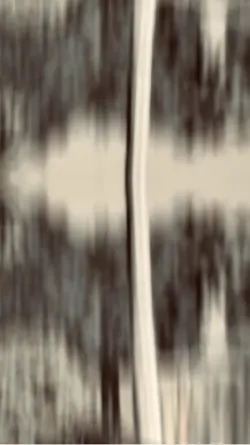 لیلا وایل   منجول نه