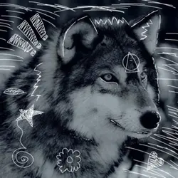 haha…i think i’m dyi