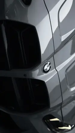 Silver Beast