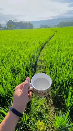 video 13 detik