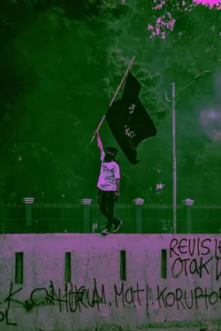 green pink Reformasi