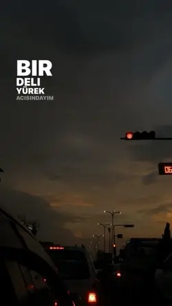 Bir deli yürek
