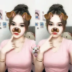Filter Dog cute