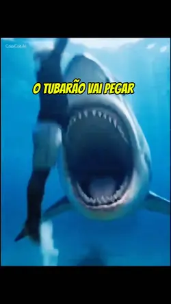 ENSINANDO O VÍDEO