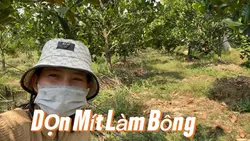 Làm Bông mùa nghịch 