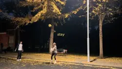 Stay Ariana Grande