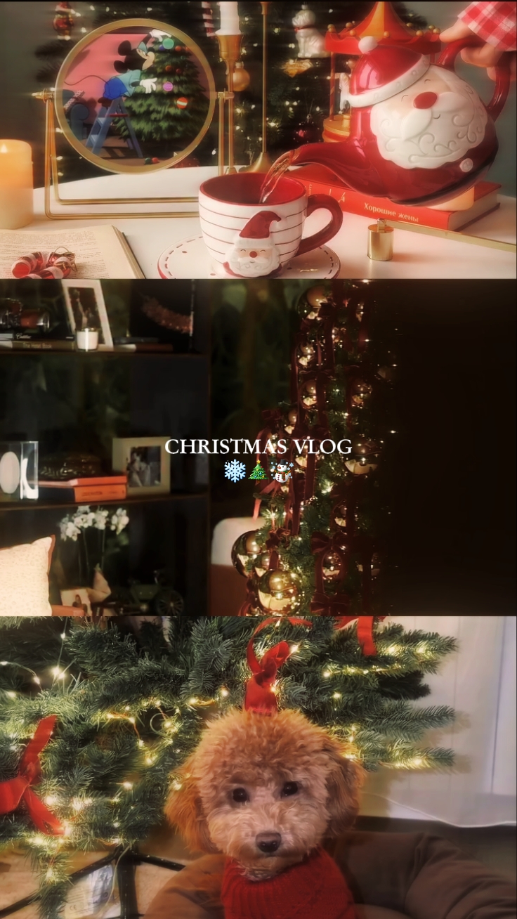 Noel vlog 'u