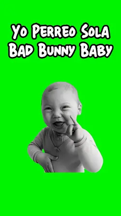 Yo Perreo Sola

Baby