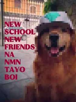 NEW school