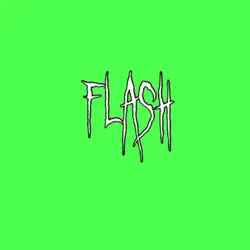 FLASH WATERMARK