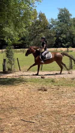 Gallops 😍