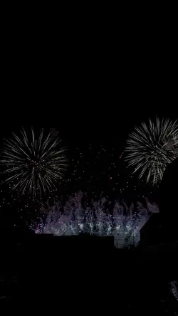 Dear D (親愛的告訴你)