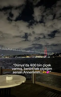 Annemm❤️