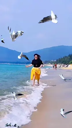 Seagull