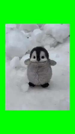 Dancing penguin