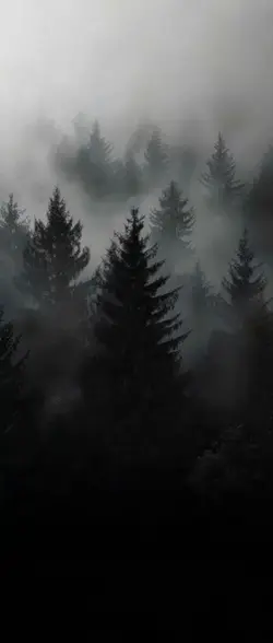 3D Wallpaper