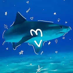 SHARKS 🫀🩷🩶🩷