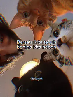 bertiga kita heboh