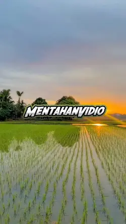 mentahan