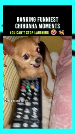 viral tik tok