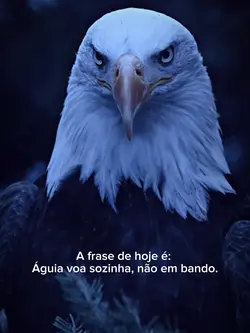 Águia
