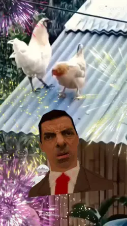 meme ayam bertelur 