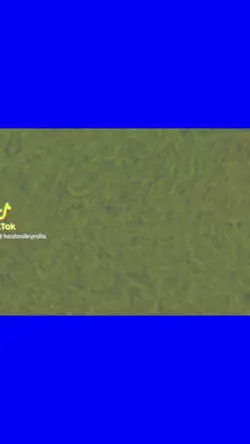 4ormulator v15