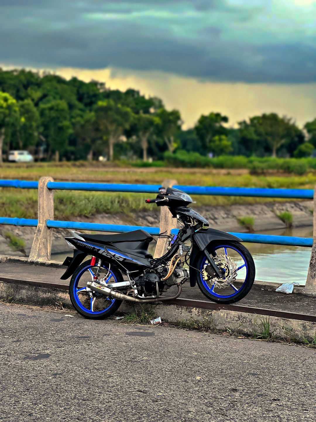 Cover Picture