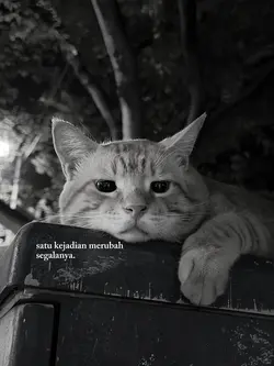 Satu kejadian meruba