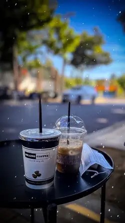 Trình chiếu+tuyết