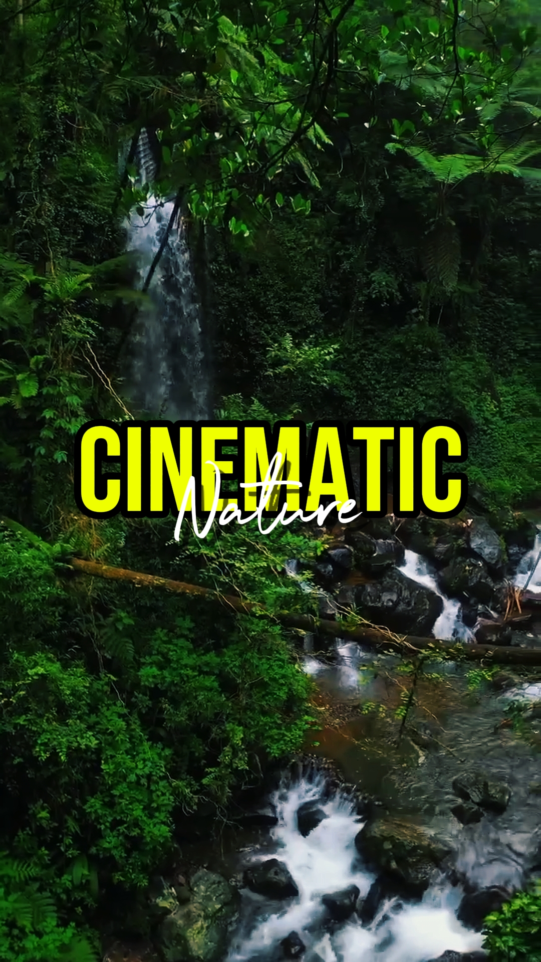 CINEMATIC NATURE